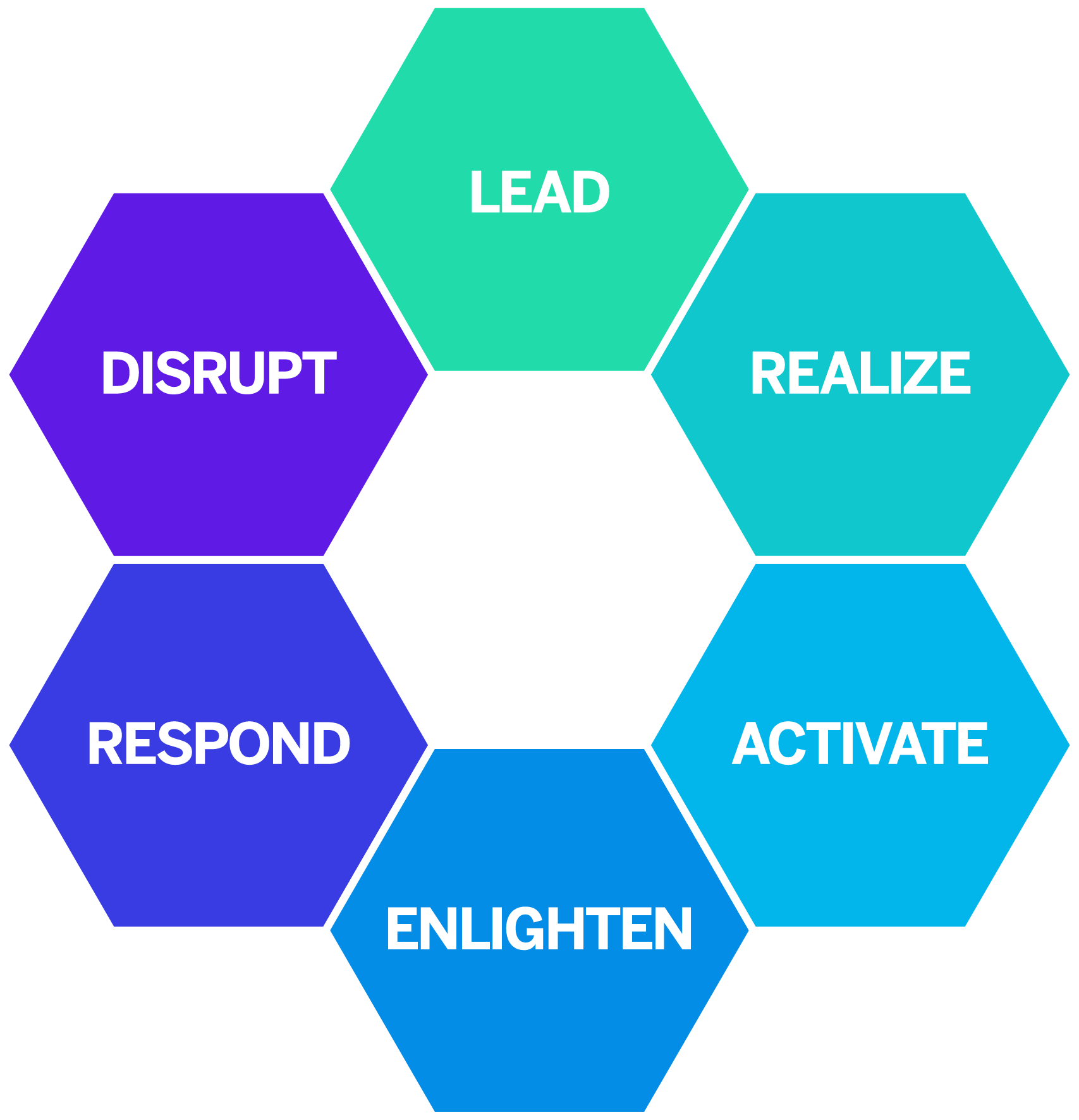 diagram of 6 experience management competencies