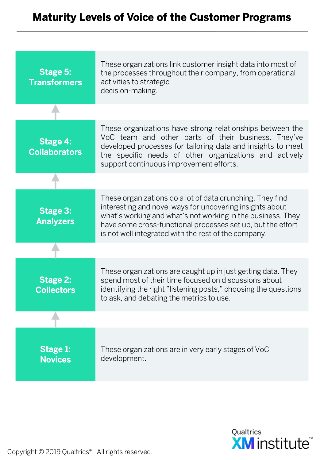 State of Voice of the Customer Programs, 2019 | XM Institute