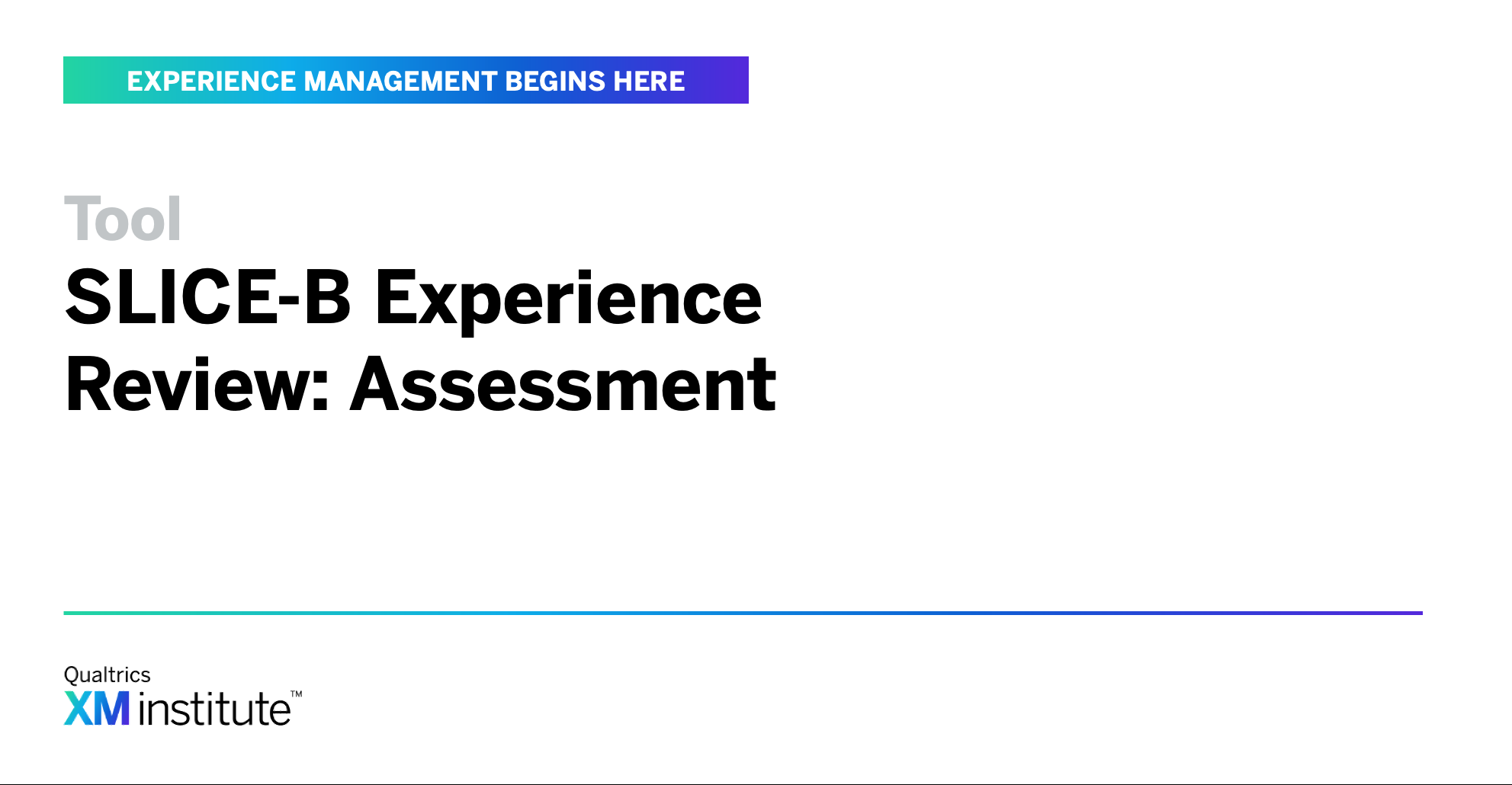 Assessment: SLICE-B Experience Review | XM Institute